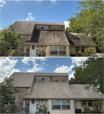 Roof Soft Wash